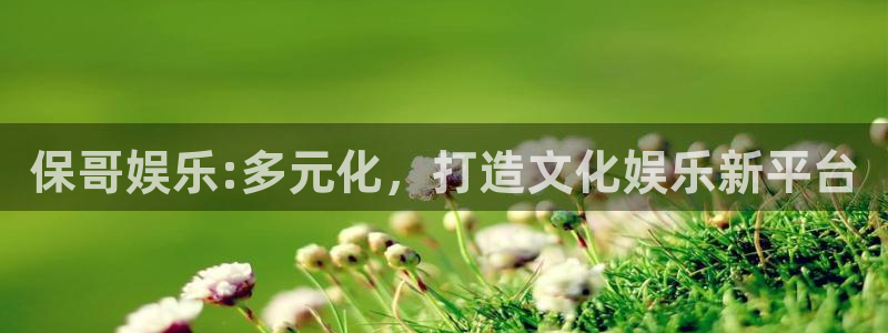 万向娱乐app：保哥娱乐:多元化，打造文化娱乐新平台