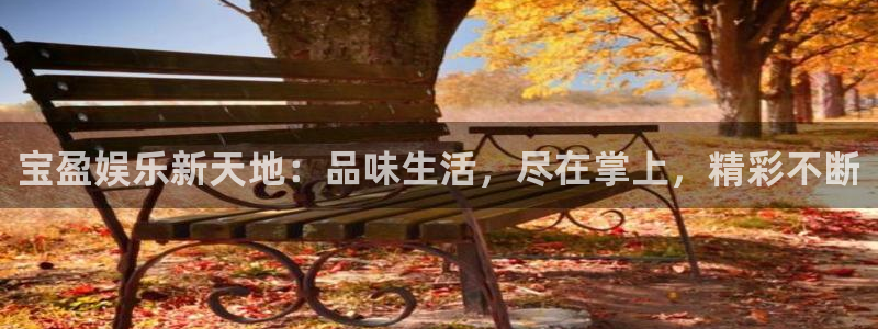 万向娱乐app：宝盈娱乐新天地：品味生活，尽在掌上，精彩不断