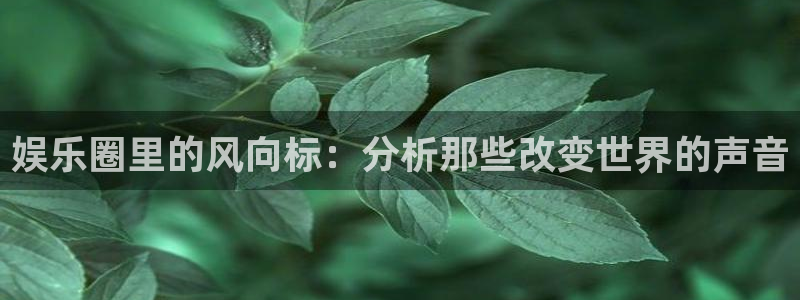 万向娱乐：娱乐圈里的风向标：分析那些改变世界的声音