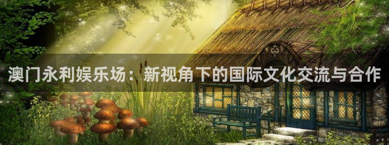 万向娱乐app：澳门永利娱乐场：新视角下的国际文化交流与合作