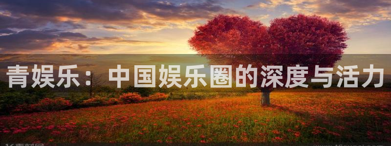 万向娱乐：青娱乐：中国娱乐圈的深度与活力