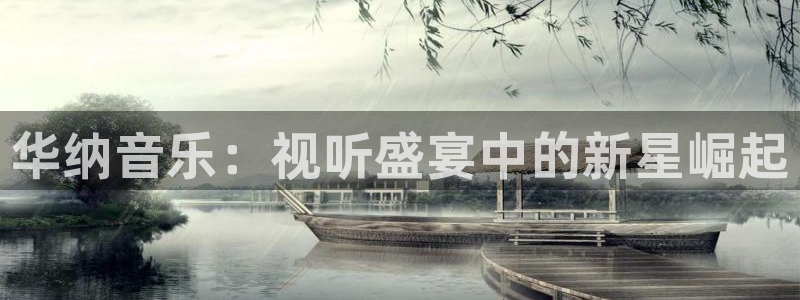 万向娱乐注册：华纳音乐：视听盛宴中的新星崛起