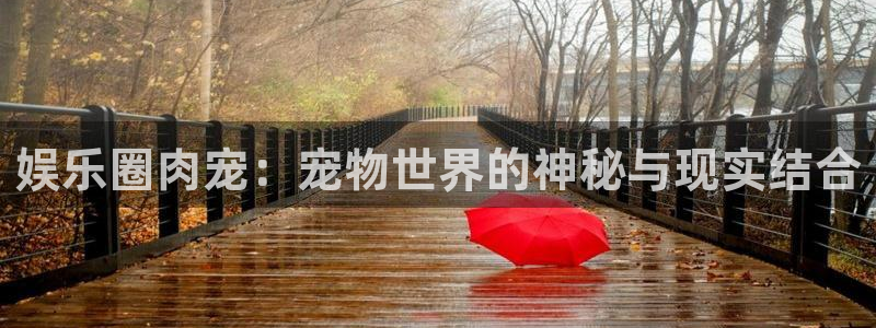万向娱乐注册登录：娱乐圈肉宠：宠物世界的神秘与现实结合