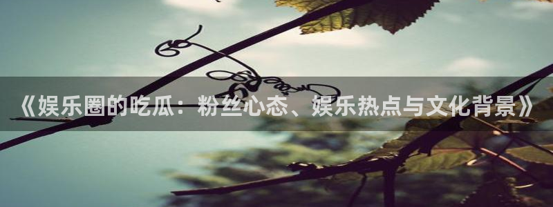 万向娱乐注册登录：《娱乐圈的吃瓜：粉丝心态、娱乐热点与文化背景》